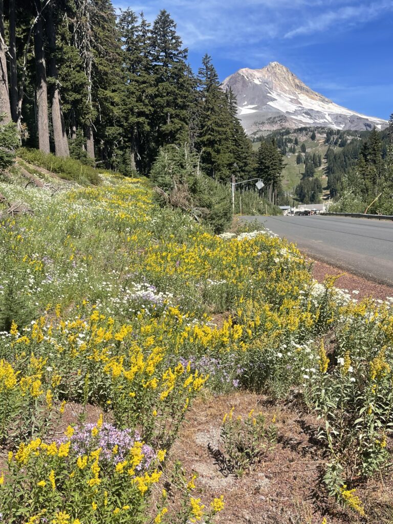 Mount Hood