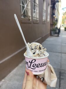 Van Leeuwen NYC