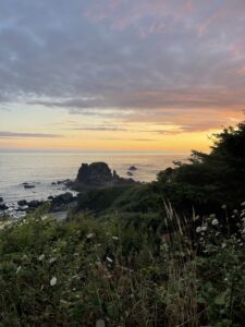 Harris Beach State Park