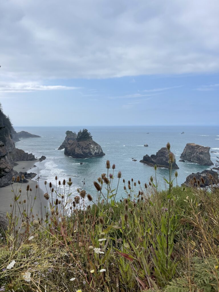 Samuel H. Boardman State Park, Oregon